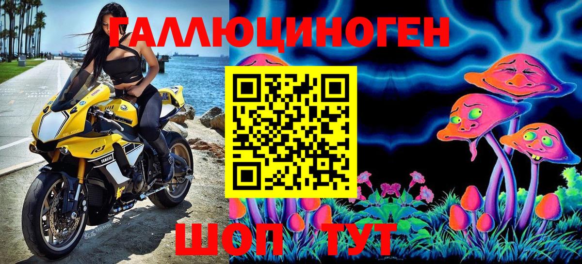 Галлюциногенные грибы GOLDEN TEACHER Усть-Лабинск