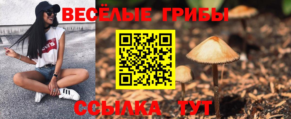 Усть-Лабинск  Псилоцибиновые грибы MAGIC MUSHROOMS  закладка  Галлюциногенные грибы мухоморы  Вход с VPN 